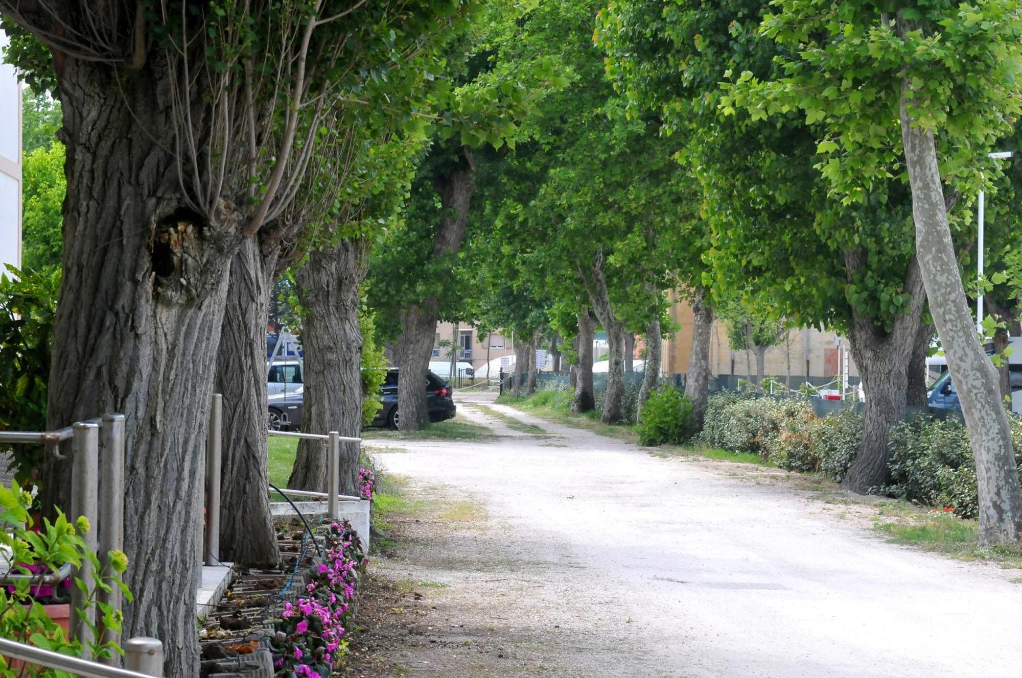 Hotel Stella - Casa Per Ferie Bellaria-Igea Marina Zewnętrze zdjęcie